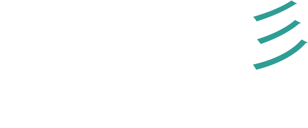 VIGGO Software Technologies